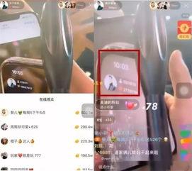 仙家直播爆料视频大全,揭秘神秘仙家世界